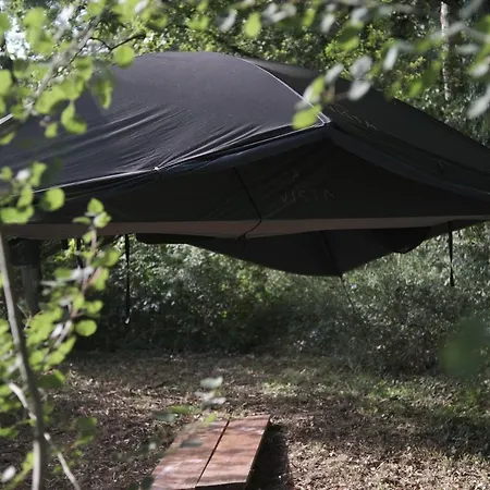 L'Appel De La Foret 51 *