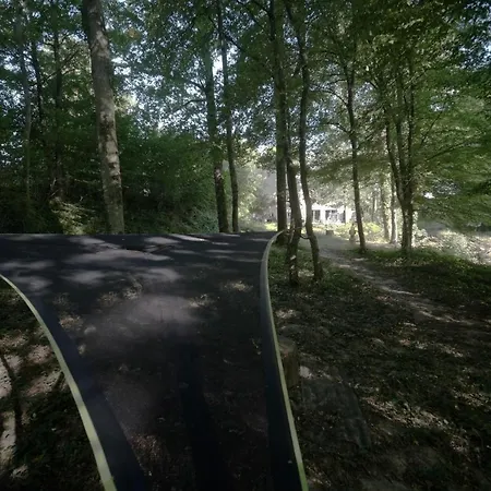 L'Appel De La Foret 51 * Bergeres-sous-Montmirail